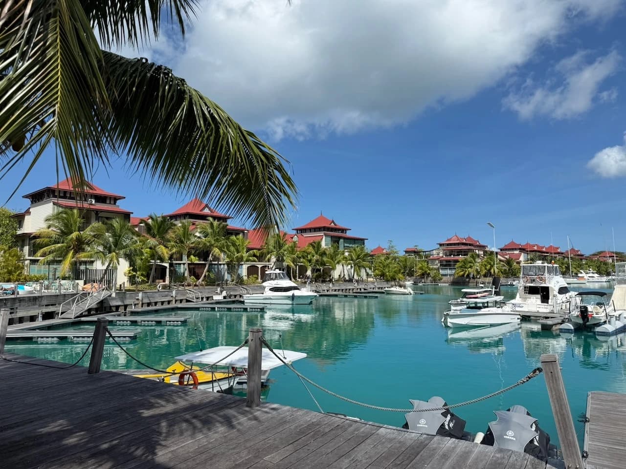 Sechs Tage im Paradies (und nur sechs Bier)